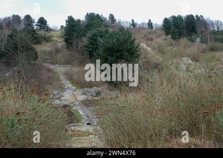 Die verlassenen Hänge des ehemaligen Sheffield Ski Village in Park Springs in South Yorkshire Stockfoto