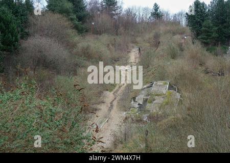 Die verlassenen Hänge des ehemaligen Sheffield Ski Village in Park Springs in South Yorkshire Stockfoto