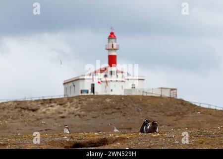 Faro Isla Magdalena, Maritime Signalling Lighthouse am berühmten Pinguin Reserve National Monument auf Magdalena Island in der Magellan-Straße vor Punta AR Stockfoto