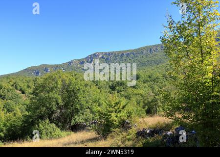 Der Nationalpark Galicica in Nordmakedonien bei Elshani Stockfoto