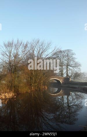 Newton Bridge (Nr. 164) über den Leeds-Liverpool-Kanal bei Bank Newton, Gargrave, North Yorkshire. Stockfoto