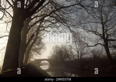 Newton Bridge (Nr. 164) über den Leeds-Liverpool-Kanal bei Bank Newton, Gargrave, North Yorkshire. Stockfoto