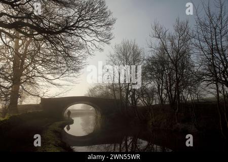 Newton Bridge (Nr. 164) über den Leeds-Liverpool-Kanal bei Bank Newton, Gargrave, North Yorkshire. Stockfoto