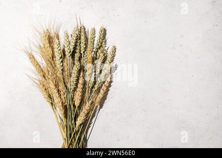Weizen- und Gerstenohren auf abstraktem Hintergrund mit Kopierraum auf der rechten Seite des Bildes, Draufsicht Stockfoto