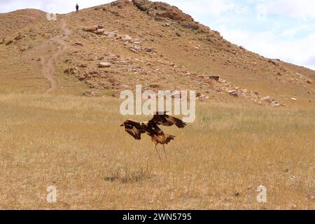 Kirgisische Adlerjäger demonstrieren die Adlerjagd Stockfoto