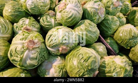 Junger Weißkohl in einem Laden, Nahaufnahme. Ein Haufen Kohl in den Regalen des Supermarktes. Lebensmittelgeschäft. Bio-Naturgemüse auf dem Markt. Veget Stockfoto