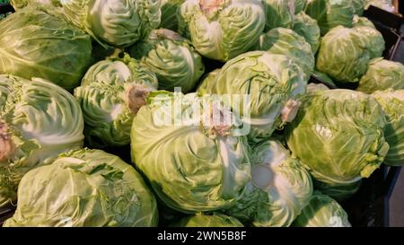 Junger Weißkohl in einem Laden, Nahaufnahme. Ein Haufen Kohl in den Regalen des Supermarktes. Lebensmittelgeschäft. Bio-Naturgemüse auf dem Markt. Veget Stockfoto