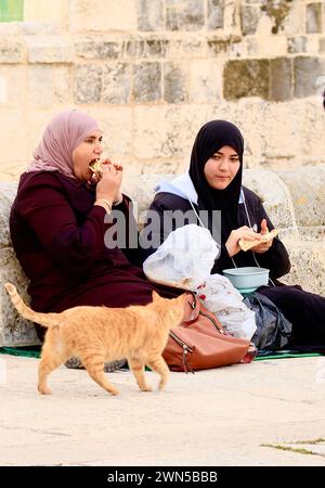 Zwei muslimische Frauen, deren Zweig an der Wand auf dem Platz vor der Al-Aqsa-Moschee sitzt Stockfoto