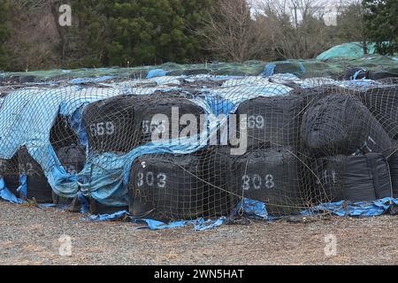 Futaba, Fukushima, Japan. Februar 2024. Schwarze Säcke mit kontaminiertem Boden werden im Zwischenlager in Futaba Town gesehen. Das Kernkraftwerk Fukushima Daiichi erlebte eine nukleare Katastrophe, die zur Evakuierung tausender Einwohner führte, nachdem das große Erdbeben in Ostjapan und der anschließende Tsunami die Präfekturen Miyagi, Iwate und Fukushima verwüstet hatten. Ein Jahrzehnt nach der Aufhebung des Evakuierungsbefehls des Bezirks Miyakoji in Tamura City war das erste Gebiet, in dem Beschränkungen aus einem Radius von 20 Kilometern des Kernkraftwerks von TEPCO in Fukushima Marks aufgehoben wurden Stockfoto