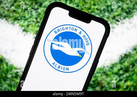 In dieser Fotoabbildung ist ein Logo des Fußballclubs Brighton Hove Albion auf einem Smartphone zu sehen. Stockfoto