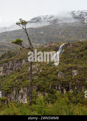 Am Aussichtspunkt La Cascada, Wasserfall westlich des Dorfes Villa o' Higgins, Patagonien, Chile Stockfoto