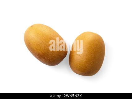 Zwei ganze reife goldene Kiwis, isoliert auf weißem Hintergrund. Kiwi mit gelb saftigem süßem Fruchtfleisch (Actinidia chinensis). Stockfoto