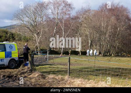 Pitilie, in der Nähe von Aberfeldy, Großbritannien. Februar 2024. Hier ist die Polizei Schottlands Forensik, die den Tatort von Brian Low auf dem sehr beliebten Fußweg durchsucht. Die Teams mit weißen Anzügen sind auf Händen und Knien und suchen methodisch jeden Zentimeter der Szene. Die ganze Spur wurde abgetrennt und wird Tage dauern, bis sie durchsucht wird. Quelle: JASPERIMAGE/Alamy Live News Stockfoto