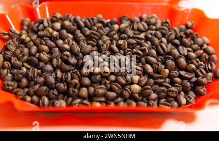 Geröstete selektive arabica-Kaffeebohnen befinden sich in roter Kunststoffschale, Nahaufnahme mit selektivem Weichfokus Stockfoto