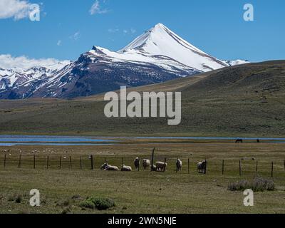 Seen und Berge entlang der Schotterstraße von Chile Chico nach Jeinimeni NP, schneebedeckte Gebirgszüge an der Grenze zu Argentinien, Patagonien, Chile Stockfoto