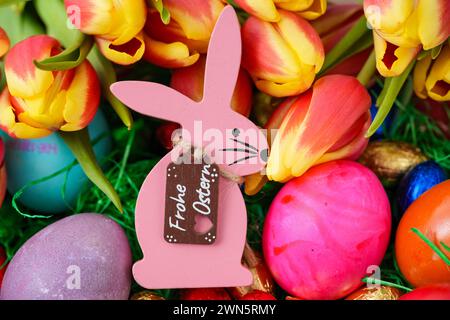 Augsburg, Bayern, Deutschland - 29. Februar 2024: Frohe Ostern Gruß auf einem Osterhase in einem vollen Osternest mit bunten Eiern, Tulpen und Gras *** Frohe Ostern Gruß auf einem Osterhase in einem vollen Osternest mit bunten Eiern, Tulpen und Gras Stockfoto