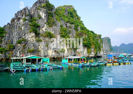 Berühmte schwimmende Dörfer der Halong-Bucht, Vietnam Stockfoto