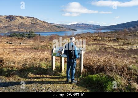 Visuelle Auswirkungen von Strommasten und Kabeln auf Ben Venue, aus Sicht des Great Trossachs Path, Loch Lomond und des Trossachs National Park Stockfoto