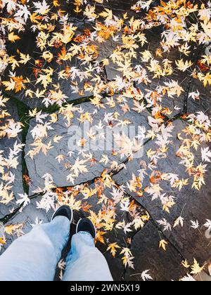 Person, die auf nassem Gehweg steht, bedeckt mit herabfallenden Herbstblättern, Blick von oben auf die Füße in legeren Schuhen. Stockfoto