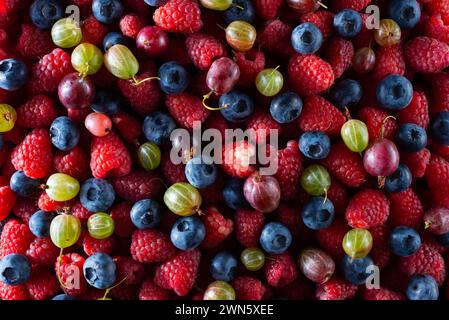 Textur frischer Beeren Fruchtsorte und Beeren Himbeeren, Johannisbeeren, schwarzen Beeren Heidelbeeren Maulbeeren und Brombeeren Stockfoto