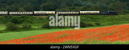 22/06/14 in einem wahren Bild eines glorreichen britischen Sommers bahnt sich eine Dampfeisenbahn auf der Severn Valley Railway vorbei an sanften Hügeln und Hektar Rot Stockfoto