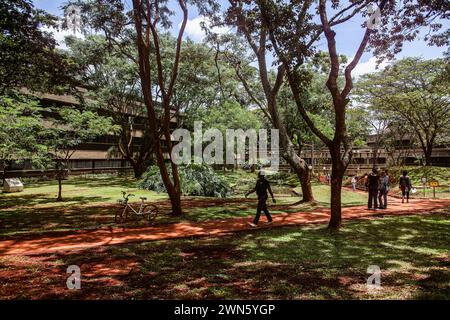 Nairobi, Nairobi, Kenia. Februar 2024. Während der 6. UN-Umweltversammlung, die im UN-Gelände in Nairobi stattfand, geht ein Mann auf einem Pfad und im Schatten auf Bäumen. Die zweiwöchige Veranstaltung konzentrierte sich auf die globalen grundlegenden Anliegen Umwelt, Klima und Tierwelt, die Nationen in multilateralen Diskussionen und künftigen Entscheidungen in der heutigen dreifachen planetaren Krise, mit der die Menschheit derzeit konfrontiert ist, zusammenbringen: Klimawandel, Verschmutzung und Verlust der biologischen Vielfalt. (Kreditbild: © Bianca Otero/ZUMA Press Wire) NUR REDAKTIONELLE VERWENDUNG! Nicht für kommerzielle ZWECKE! Stockfoto