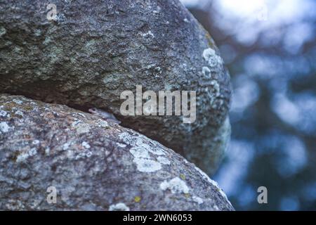 Nairobi, Nairobi, Kenia. Februar 2024. Ein kleiner Frosch keilt sich zwischen zwei Felsen. (Kreditbild: © Bianca Otero/ZUMA Press Wire) NUR REDAKTIONELLE VERWENDUNG! Nicht für kommerzielle ZWECKE! Stockfoto