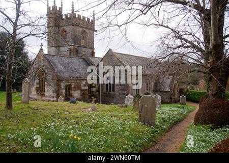 St. Mary's Church im Winter Schneeglöckchen, Piddlehinton, Nr Dorchester, West Dorset, England Stockfoto