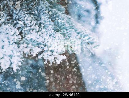 Winterschneelandschaft mit Schneeflocken, die vom Himmel fallen. Winterlandschaft des Waldes. Schneebedeckte Zweige von Weihnachtsbäumen. Weihnachtsabend. Snowsto Stockfoto