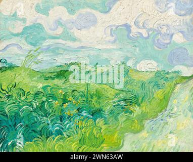 Van Gogh Vincent - Green Wheat Fields, Auvers (1890) Stockfoto