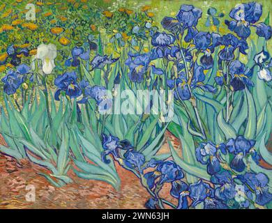 Van Gogh Vincent - Iris (1889) Stockfoto