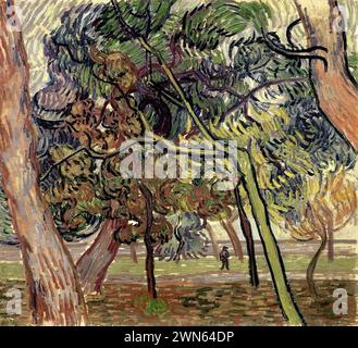 Van Gogh Vincent - Kiefern im Garten der Anstalt (1889) Stockfoto