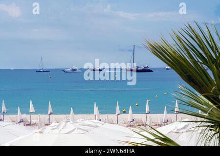 Herrlicher Blick auf den privaten Strand mit Zelten und weißem Sand und Booten kostenlos vor Anker in der Bucht von Cannes. Kleines Motorboot, das sich im Wasser bewegt. Möwen, die sich in W entspannen Stockfoto