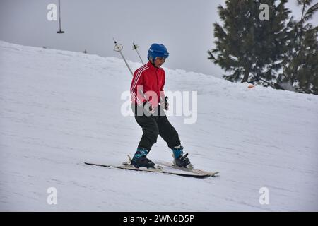 Gulmarg, Kaschmir, Indien. Februar 2024. Im Skigebiet Gulmarg, etwa 55 km von Srinagar, der Sommerhauptstadt von Jammu und Kaschmir, ist ein Skifahrer in Aktion. (Credit Image: © Saqib Majeed/SOPA Images via ZUMA Press Wire) NUR REDAKTIONELLE VERWENDUNG! Nicht für kommerzielle ZWECKE! Stockfoto