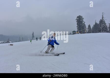 Gulmarg, Kaschmir, Indien. Februar 2024. Im Skigebiet Gulmarg, etwa 55 km von Srinagar, der Sommerhauptstadt von Jammu und Kaschmir, ist ein Skifahrer in Aktion. (Credit Image: © Saqib Majeed/SOPA Images via ZUMA Press Wire) NUR REDAKTIONELLE VERWENDUNG! Nicht für kommerzielle ZWECKE! Stockfoto