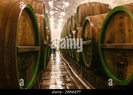 Pilsen, Tschechische Republik - 01. Juni 2017 - Alte Holzfässer im Keller der Pilsner Urquell Brauerei Stockfoto