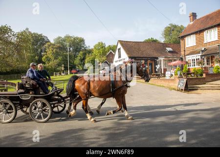 Minstead New Forest Village, zwei ältere Männer auf einem Pferdewagen, die von zwei braunen Pferden an der Trusty Servant Inn, Hampshire, England, UK, 2023 vorbeigezogen wurden Stockfoto