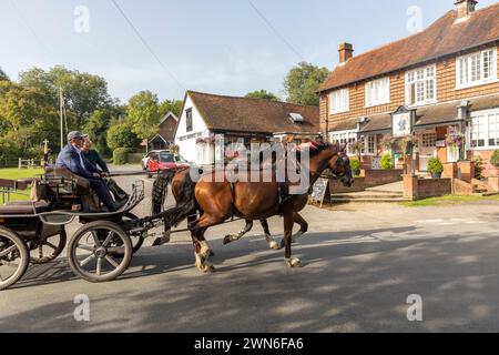 Minstead New Forest Village, zwei ältere Männer auf einem Pferdewagen, die von zwei braunen Pferden an der Trusty Servant Inn, Hampshire, England, UK, 2023 vorbeigezogen wurden Stockfoto