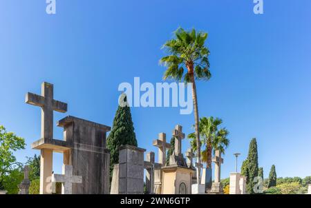 Ewige Ruhe: Überqueren Sie Denkmäler unter dem blauen Himmel auf dem ruhigen Friedhof Stockfoto