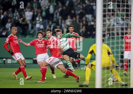 Lissabon, Portugal. Februar 2024. Lissabon, 02/29/2024 - Sporting Clube de Portugal veranstaltete heute Abend im José Alvalade XXI Stadion in Lissabon, Sport Lisboa und Benfica im 1. Leg des Halbfinales der Taca de Portugal Plakette 2023/24. Viktor Gyökeres (Gerardo Santos/Global Imagens) Credit: Atlantico Press/Alamy Live News Stockfoto