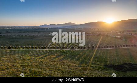 Valle de Guadalupe Baja Kalifornien Mexiko Stockfoto