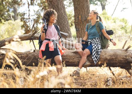 Birassische Frau und Freundin genießen eine fröhliche Wanderung, die auf einem Baum ruht. Stockfoto