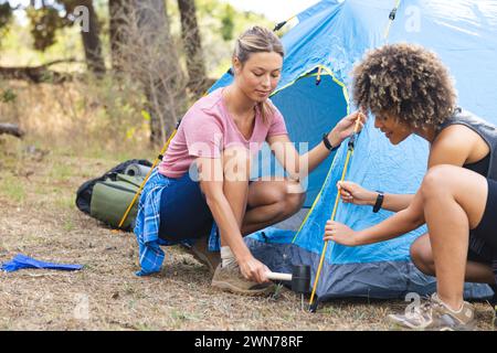 Junge kaukasische Frau und birassische Frau haben draußen ein blaues Zelt aufgebaut Stockfoto