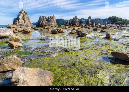 Hashigui Felsen erstaunliche Natursteinformationen in der Stadt Kushimoto auf der Halbinsel Kii in der Präfektur Wakayama in Japan Stockfoto