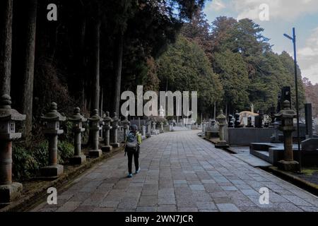 Eintritt zum Okunoin Friedhof, Mount Koya (Koyasan), Wakayama, Japan Stockfoto