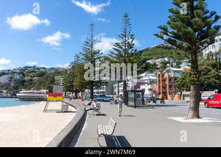 Oriental Bay Beach, Oriental Bay, Wellington, Neuseeland Stockfoto