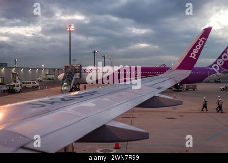 Günstige Peach Aviation Flugzeuge auf der Landebahn des Kansai International Airport, künstliche Insel in Osaka Bay Japan am 18. Februar 2024 Stockfoto