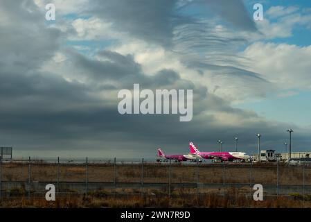 Günstige Peach Aviation Flugzeuge auf der Landebahn des Kansai International Airport, künstliche Insel in Osaka Bay Japan am 18. Februar 2024 Stockfoto