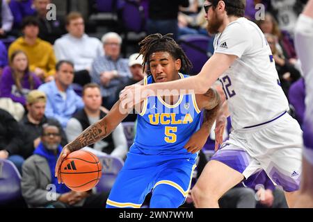 Seattle, WA, USA. Februar 2024. Der UCLA Bruins-Wachmann Brandon Williams (5) dribbelt während des NCAA Basketballspiels zwischen den UCLA Bruins und Washington Huskies im HEC Ed Pavilion in Seattle, WA, in die Verteidigung. Washington besiegte die UCLA mit 94:77. Steve Faber/CSM/Alamy Live News Stockfoto