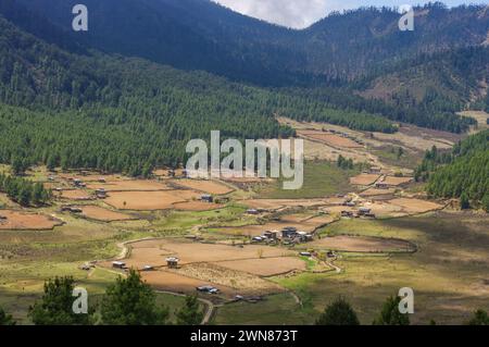 Malerischer Blick auf das wunderschöne ländliche Hochtal Phobjikha in Zentral-Bhutan mit Feldern und Wäldern Stockfoto